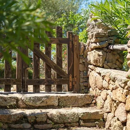 Fico D'india - Veranda Privata E Giardino Lägenhet Porto Rotondo