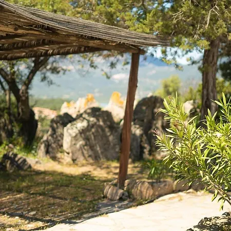 Fico D'india - Veranda Privata E Giardino Porto Rotondo